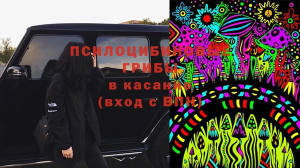 стаф Абинск