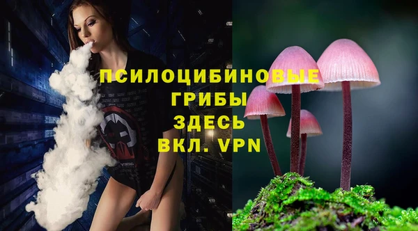 не бодяженный Абдулино