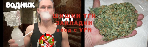 бошки Алексин