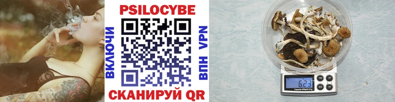 это как зайти  Галич  Псилоцибиновые грибы Cubensis 